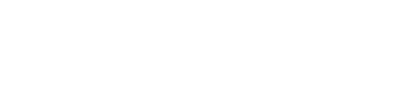 Reusch Attrakt Fusion Carbon 3D